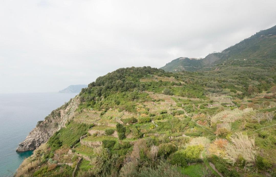 Hotel Arbanella Corniglia Habitación foto